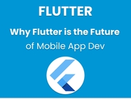 Flutter hive DB example | Learn Pain Less