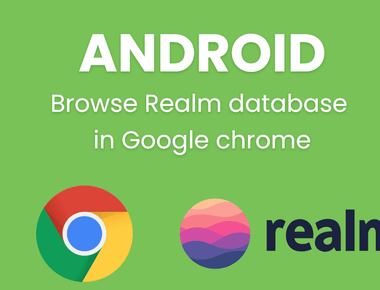 Browse Realm database in Google chrome browser