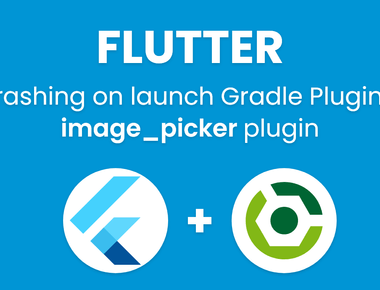 Flutter crashing on launch when updating Android Gradle Plugin to 4.0.0